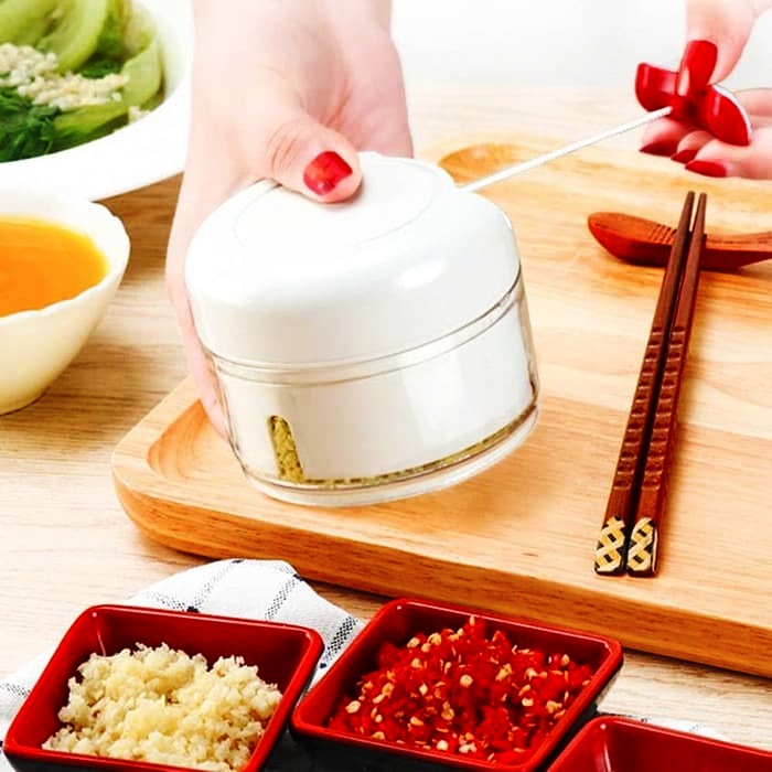 Mini Vegetable hand push Chopper