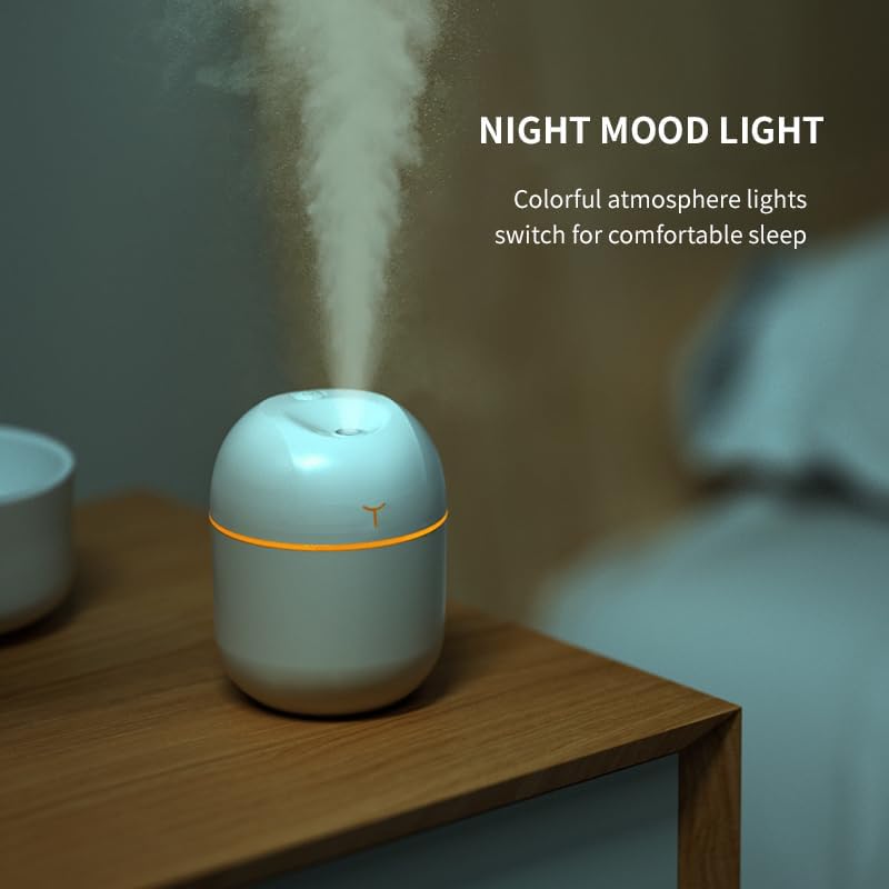 Portable Mini USB Humidifier