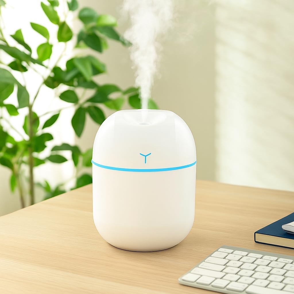 Portable Mini USB Humidifier