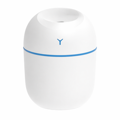 Portable Mini USB Humidifier