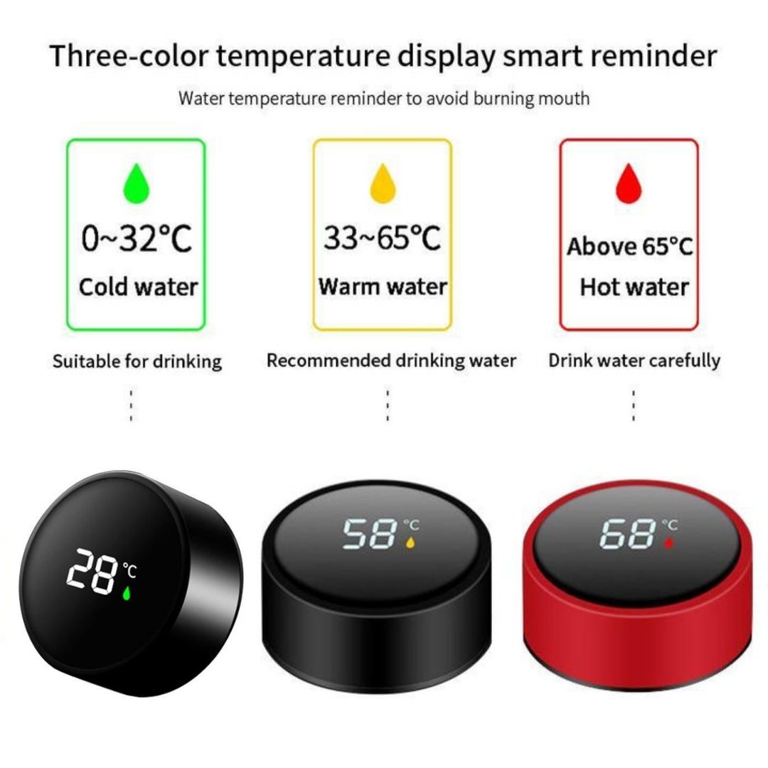 Temperature Display Water Bottle